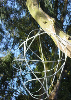 Egg shaped sculpture hanging in a tree