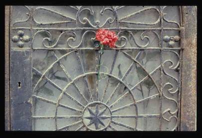 Shrine grate with a carnation flower