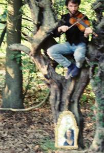 Violin player sitting in a tree in the woods