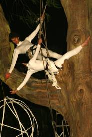 CoExistence, Artship Ensemble